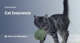 Cat Insurance Germany
