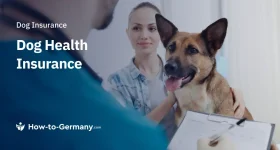 Dog Health Insurance in Germany
