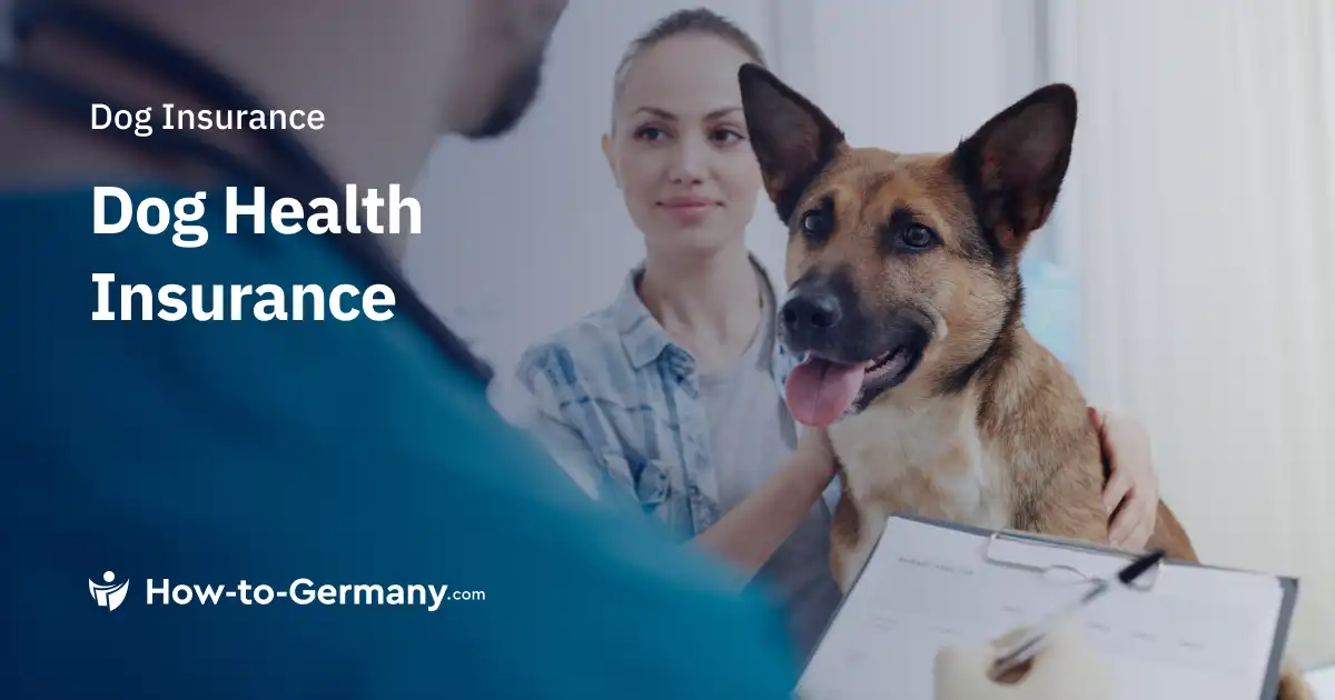 Dog Health Insurance in Germany
