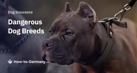 Dangerous Dog Breeds in Germany
