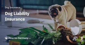 Dog Liability Insurance in Germany