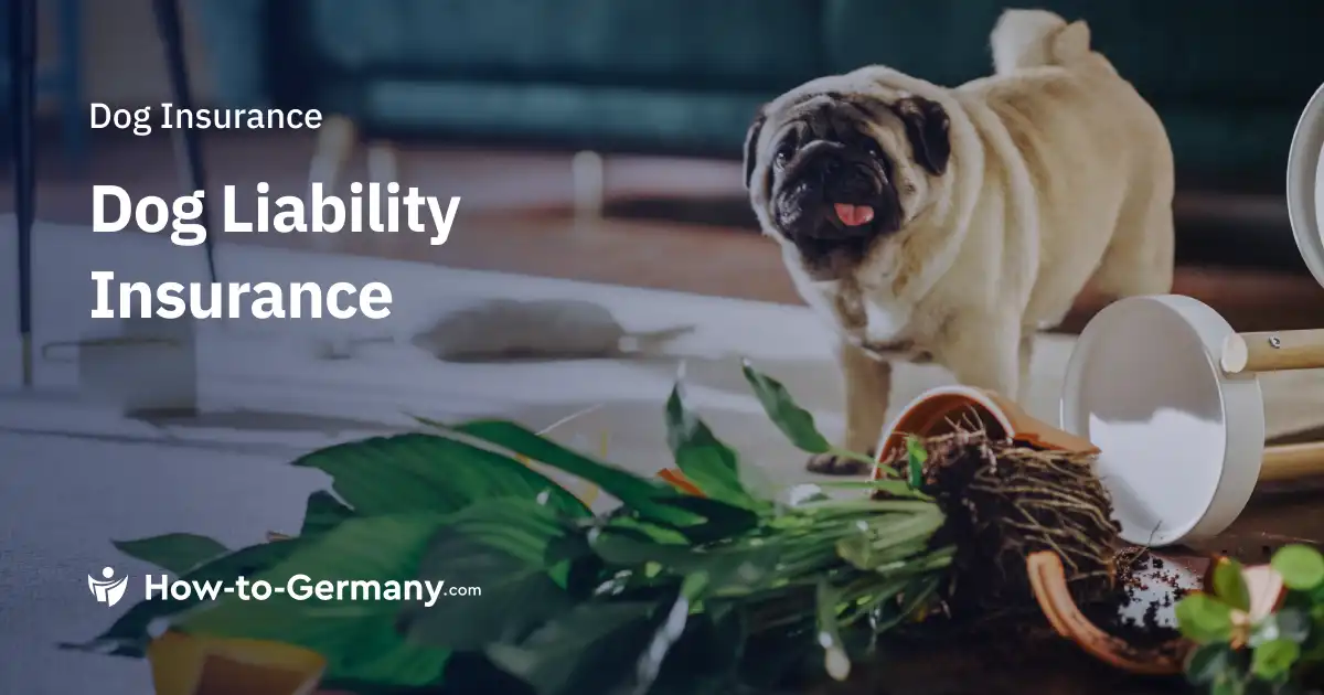 Dog Liability Insurance in Germany