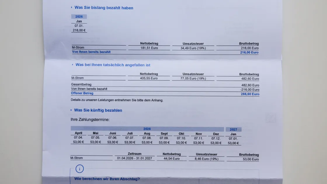Annual Electricity Costs for Energy Bill in Germany